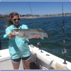 Maine Striped Bass Fishing