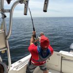 maine shark fishing trips